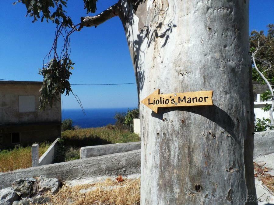 Liolio'S Manor Villa Agalianos Екстериор снимка